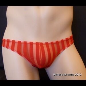 NWT 10/$40 Lot SALE Victor's Charms/Intouch sexy mesh underwear Large